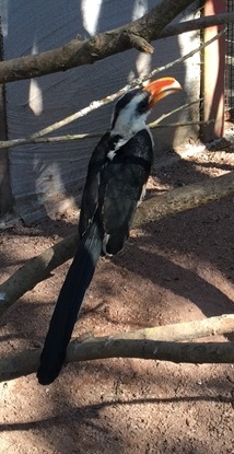 Parc des oiseaux -Lot 1 (103)