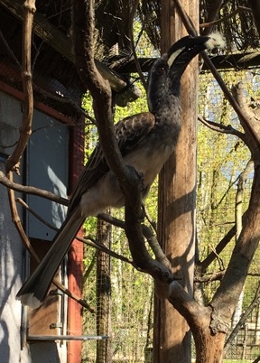 Parc des oiseaux -Lot 1 (106)
