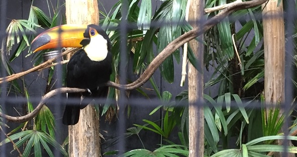 Parc des oiseaux -Lot 1 (22)