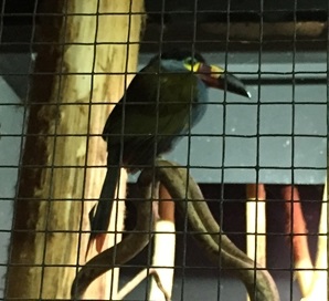 Parc des oiseaux -Lot 1 (25)