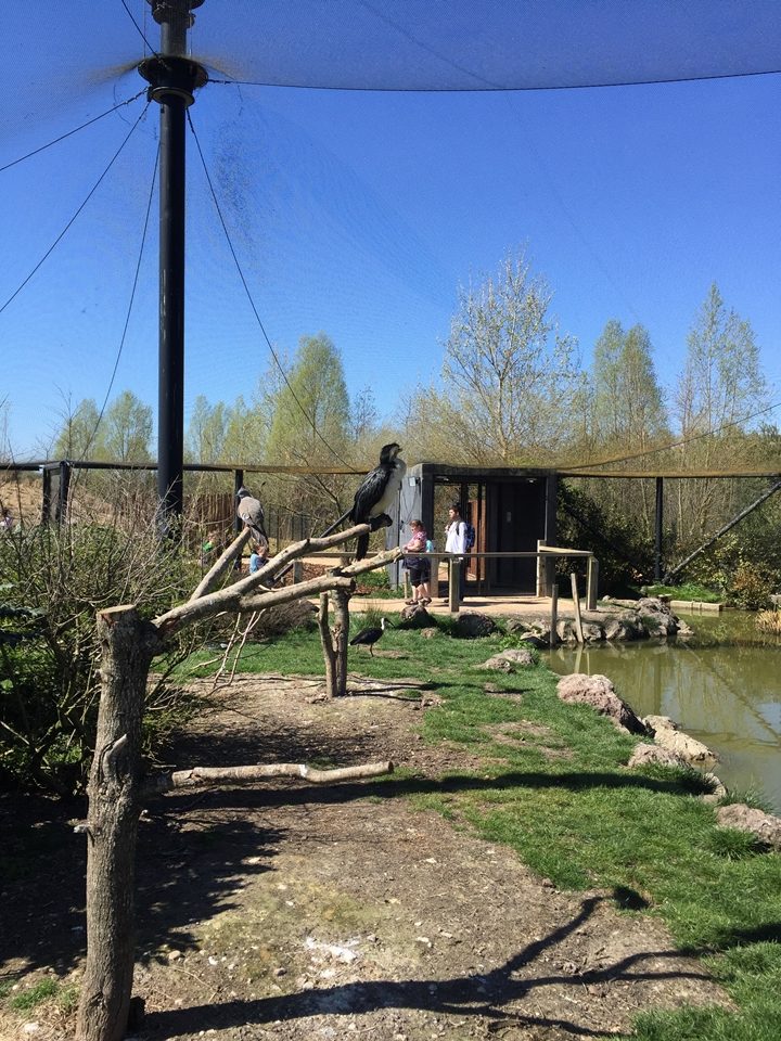 Parc des oiseaux -Lot 1 (35)