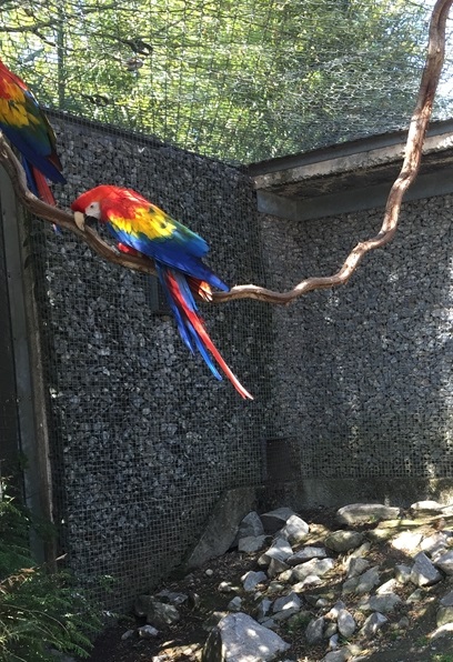 Parc des oiseaux -Lot 1 (4)