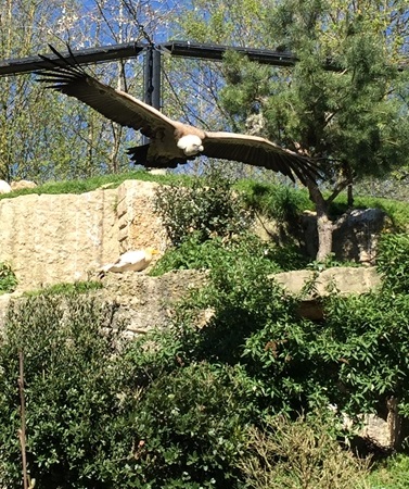 Parc des oiseaux -Lot 1 (55)