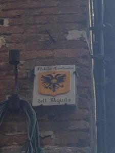 IMG_1115-2
