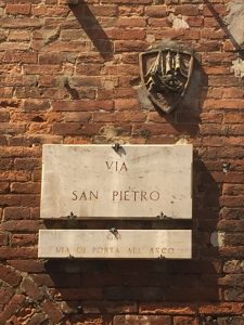 IMG_1116-2
